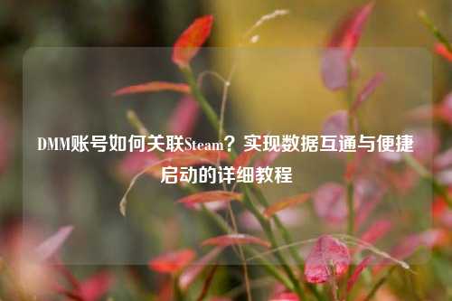 DMM账号如何关联Steam？实现数据互通与便捷启动的详细教程