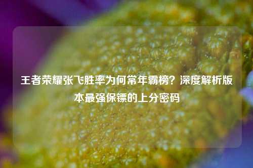 王者荣耀张飞胜率为何常年霸榜？深度解析版本最强保镖的上分密码