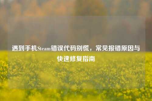 遇到手机Steam错误代码别慌，常见报错原因与快速修复指南