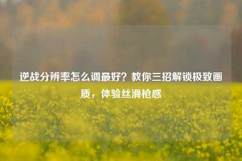 逆战分辨率怎么调更好？教你三招解锁极致画质，体验丝滑枪感