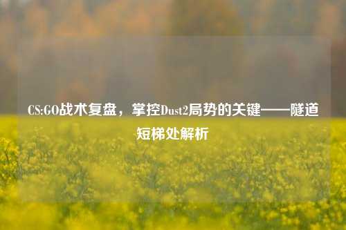 CS:GO战术复盘，掌控Dust2局势的关键——隧道短梯处解析