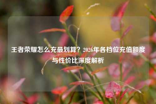 王者荣耀怎么充最划算？2026年各档位充值额度与性价比深度解析