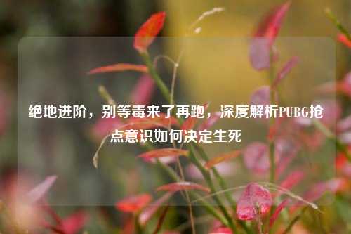 绝地进阶，别等毒来了再跑，深度解析PUBG抢点意识如何决定生死