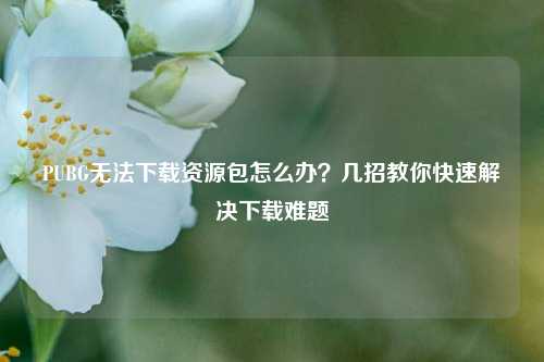 PUBG无法下载资源包怎么办？几招教你快速解决下载难题