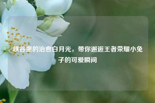 峡谷里的治愈白月光，带你邂逅王者荣耀小兔子的可爱瞬间