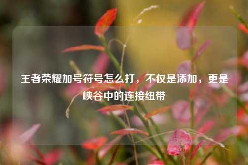 王者荣耀加号符号怎么打，不仅是添加，更是峡谷中的连接纽带