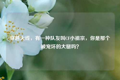 穿越火线，有一种队友叫CF小祖宗，你是那个被宠坏的大腿吗？