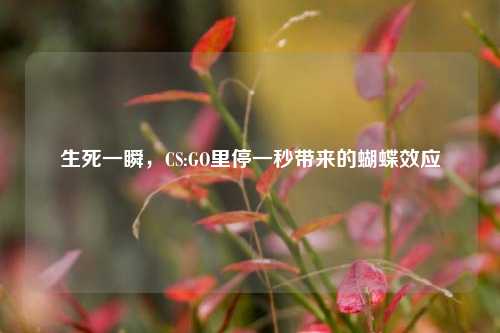 生死一瞬，CS:GO里停一秒带来的蝴蝶效应