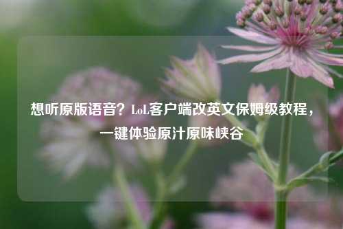 想听原版语音？LoL客户端改英文保姆级教程，一键体验原汁原味峡谷