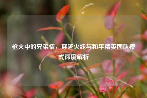 枪火中的兄弟情，穿越火线与和平精英团队模式深度解析