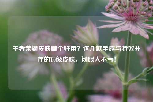 王者荣耀皮肤哪个好用？这几款手感与特效并存的T0级皮肤，闭眼入不亏！