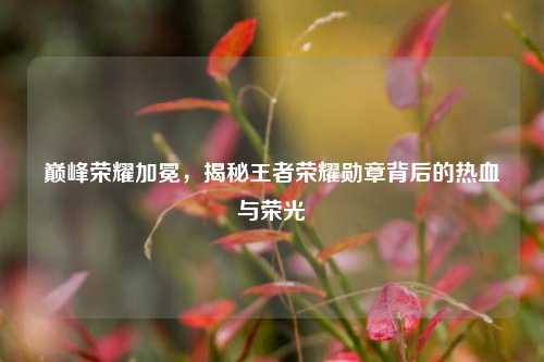 巅峰荣耀加冕，揭秘王者荣耀勋章背后的热血与荣光