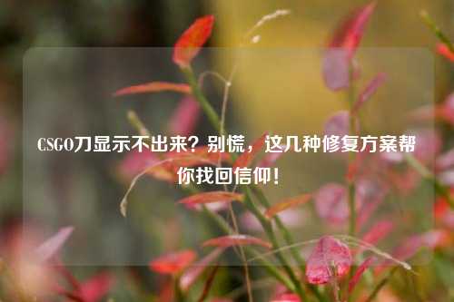 CSGO刀显示不出来？别慌，这几种修复方案帮你找回信仰！