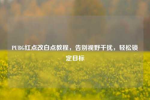 PUBG红点改白点教程，告别视野干扰，轻松锁定目标