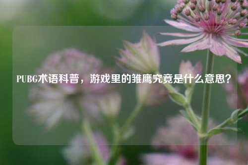 PUBG术语科普，游戏里的雏鹰究竟是什么意思？