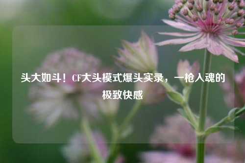 头大如斗！CF大头模式爆头实录，一枪入魂的极致     