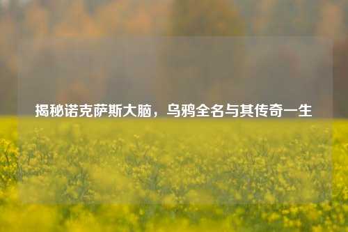 揭秘诺克萨斯大脑，乌鸦全名与其传奇一生