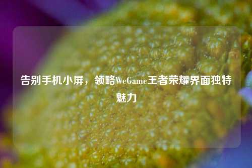 告别手机小屏，领略WeGame王者荣耀界面独特魅力