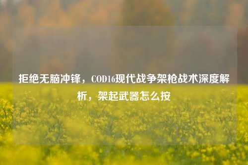 拒绝无脑冲锋，COD16现代战争架枪战术深度解析，架起武器怎么按