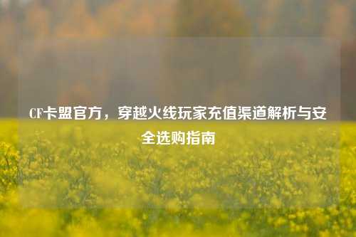 CF卡盟官方，穿越火线玩家充值渠道解析与安全选购指南