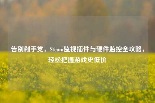 告别剁手党，Steam监视插件与硬件监控全攻略，轻松把握游戏史低价