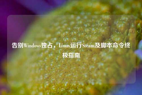 告别Windows独占，Linux运行Steam及脚本命令终极指南