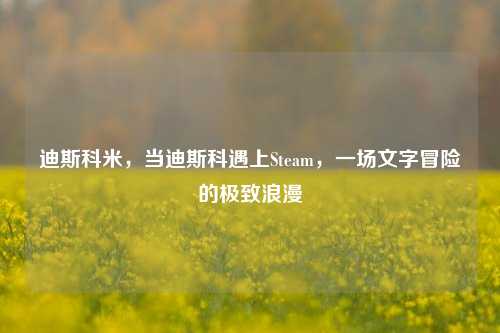 迪斯科米，当迪斯科遇上Steam，一场文字冒险的极致浪漫