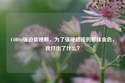 COD16强迫症晚期，为了强硬路线的那抹金色，我付出了什么？