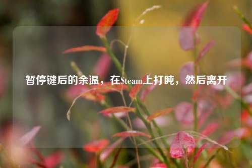 暂停键后的余温，在Steam上打盹，然后离开