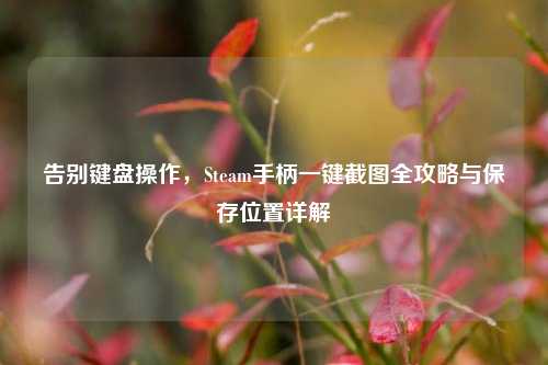 告别键盘操作，Steam手柄一键截图全攻略与保存位置详解