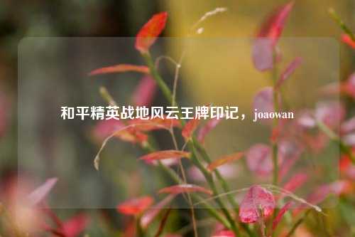 和平精英战地风云王牌印记，joaowan