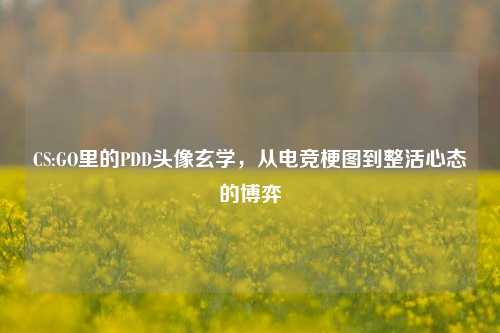 CS:GO里的PDD头像玄学，从电竞梗图到整活心态的博弈