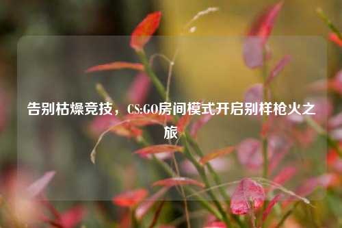 告别枯燥竞技，CS:GO房间模式开启别样枪火之旅