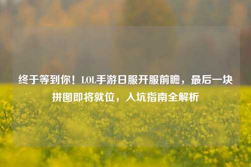 终于等到你！LOL手游日服开服前瞻，最后一块拼图即将就位，入坑指南全解析