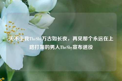 天不生我TheShy万古如长夜，再见那个永远在上路打架的男人TheShy宣布退役