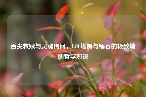舌尖救赎与灵魂拷问,LOL塔姆与锤石的极致辅助哲学对决