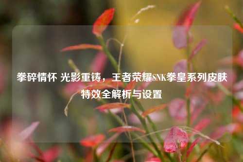 拳碎情怀 光影重铸,王者荣耀SNK拳皇系列皮肤特效全解析与设置