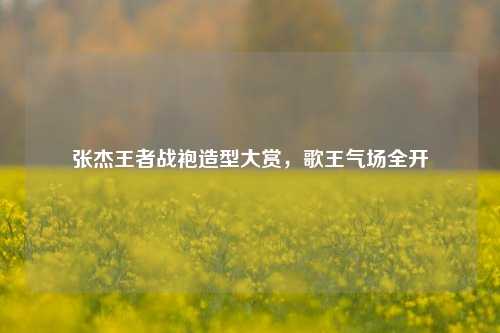 张杰王者战袍造型大赏,歌王气场全开