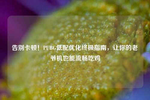 告别卡顿!PUBG低配优化终极指南,让你的老爷机也能流畅吃鸡