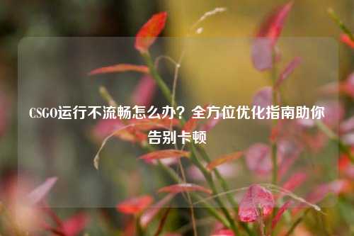 CSGO运行不流畅怎么办?全方位优化指南助你告别卡顿