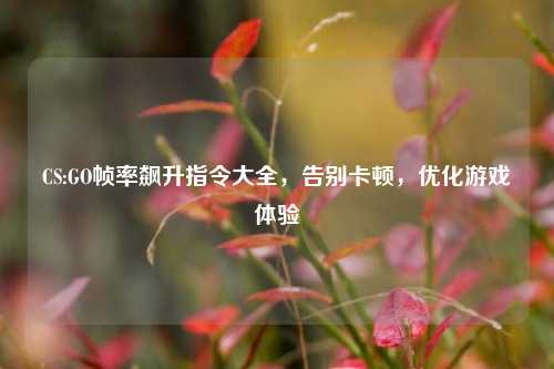 CS:GO帧率飙升指令大全,告别卡顿,优化游戏体验