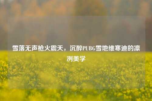 雪落无声枪火震天,沉醉PUBG雪地维寒迪的凛冽美学