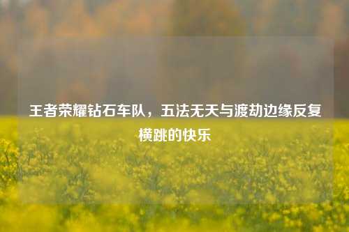 王者荣耀钻石车队,五法无天与渡劫边缘反复横跳的快乐