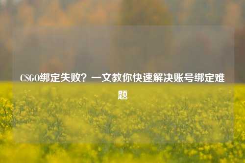 CSGO绑定失败？一文教你快速解决账号绑定难题