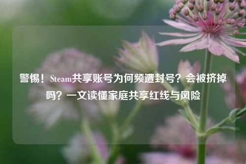 警惕!Steam共享账号为何频遭封号?会被挤掉吗?一文读懂家庭共享红线与风险