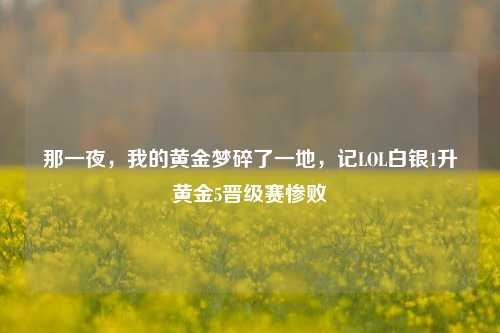 那一夜,我的黄金梦碎了一地,记LOL白银1升黄金5晋级赛惨败