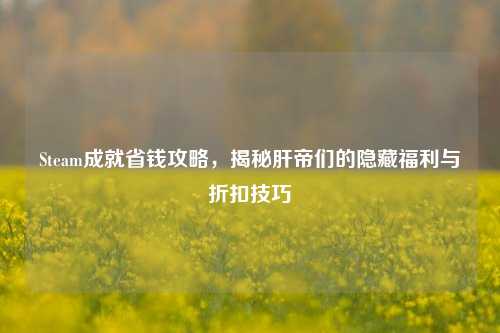 Steam成就省钱攻略,揭秘肝帝们的隐藏福利与折扣技巧
