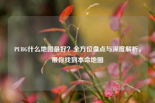 PUBG什么地图最好?全方位盘点与深度解析,带你找到本命地图